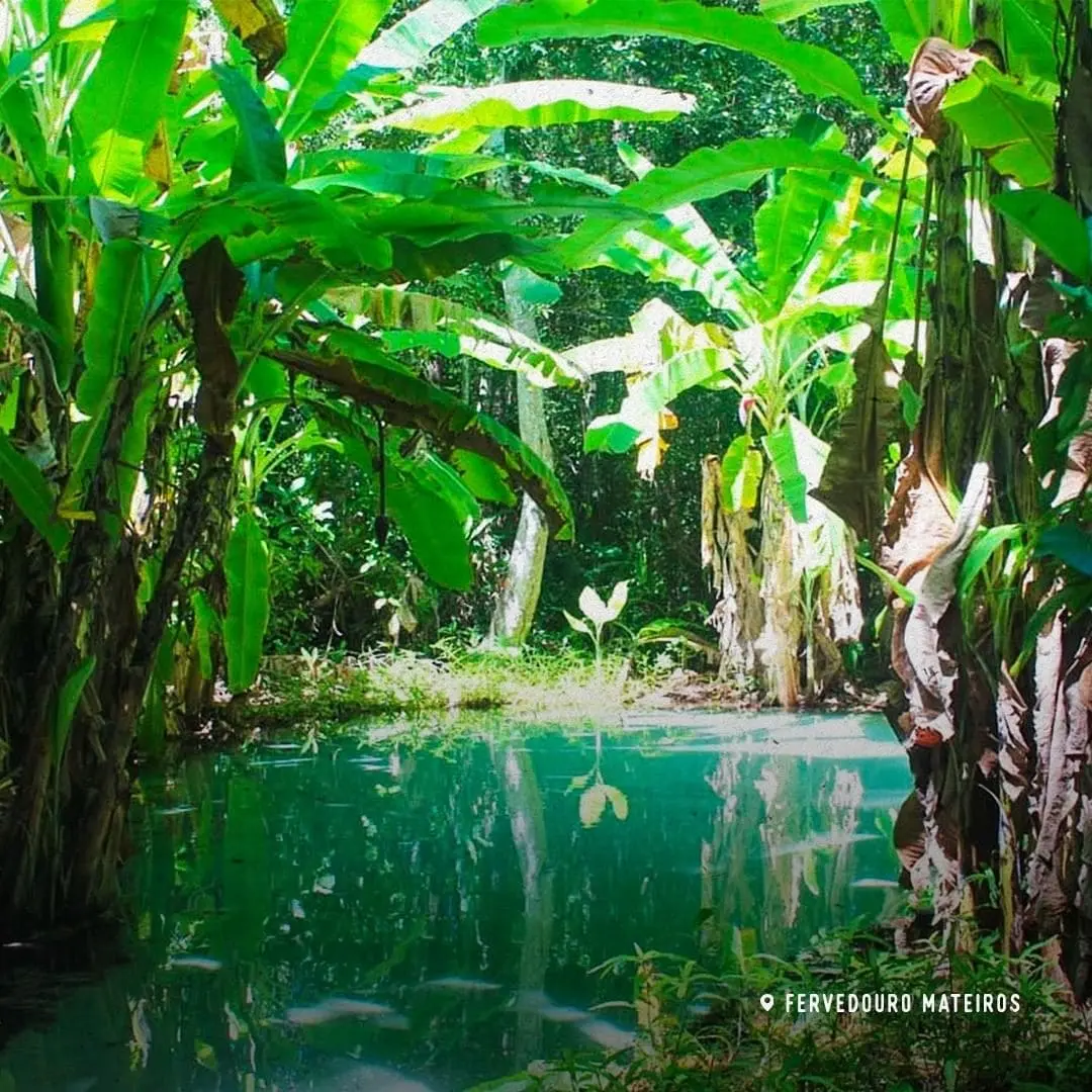 The Mateiros boiling hole is one of the most beautiful to see. If you're a fervedouro lover like us, you'll definitely love it!