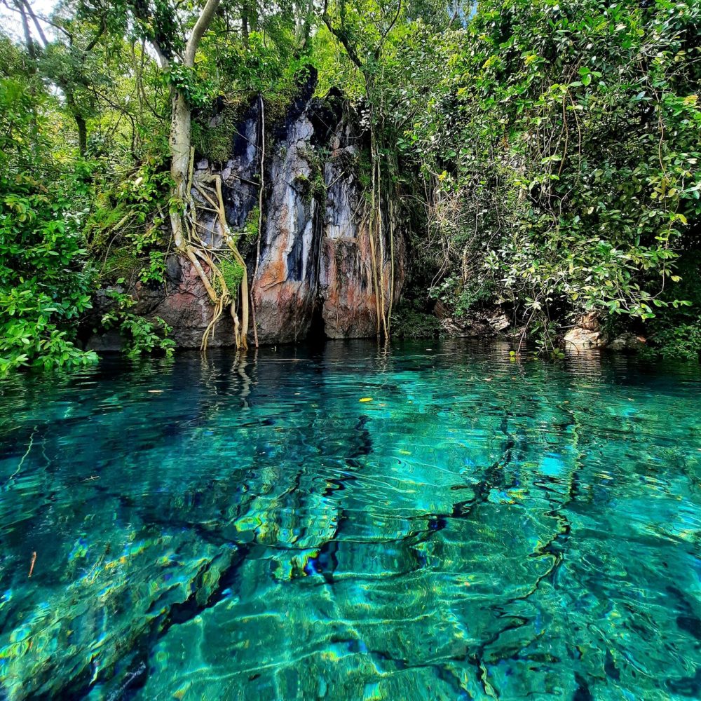 LAGOA DO JAPONES